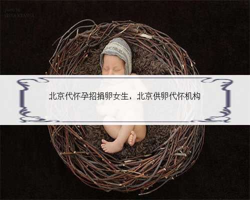 北京代怀孕招捐卵女生，北京供卵代怀机构