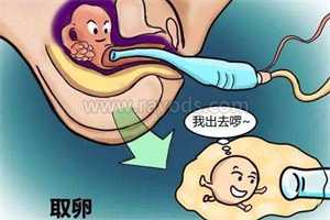 北京代怀怎么联系,丁子高代妻子赴北京代言 默认杨千嬅已怀孕