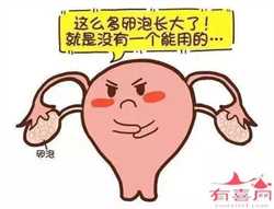 2022北京大学第二附属医院供卵试管费用一览