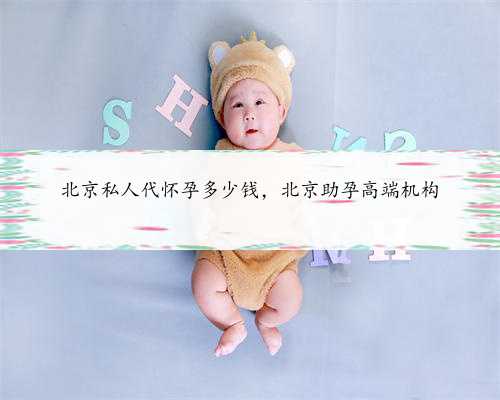 北京私人代怀孕多少钱，北京助孕高端机构