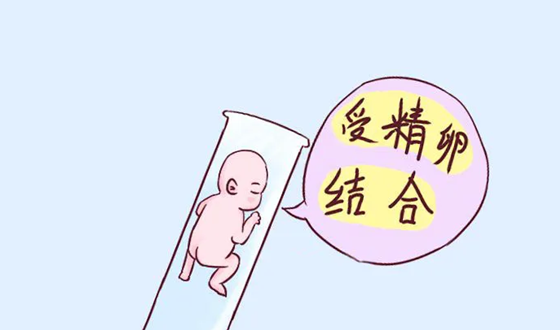 北京供卵试管大约费用，2022北京第三代试管婴儿费用是多少？