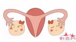 北京供卵试管中心怀孕妈妈，北京生殖中心医院 输卵管造影对怀孕有影响吗