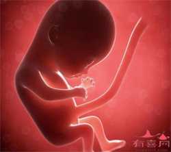 北京供卵试管生小孩，北京做供精试管婴儿的费用高不高