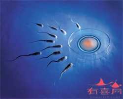 北京供卵试管生孩子选择服务，北京北京协和医院做试管婴儿怎么样