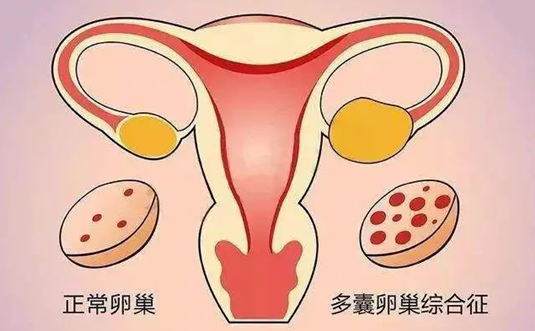 北京试管供卵生殖中心，北京哪家生殖中心做试管婴儿成功率高？