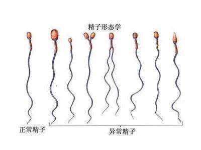北京供卵试管是几代，北京试管婴儿哪家好