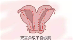 北京供卵试管公司联系电话，北京供卵试管婴儿成功率高