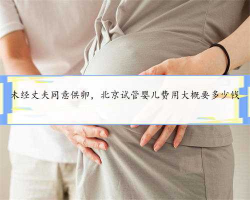 未经丈夫同意供卵，北京试管婴儿费用大概要多少钱