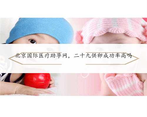 北京国际医疗助孕网，二十九供卵成功率高吗